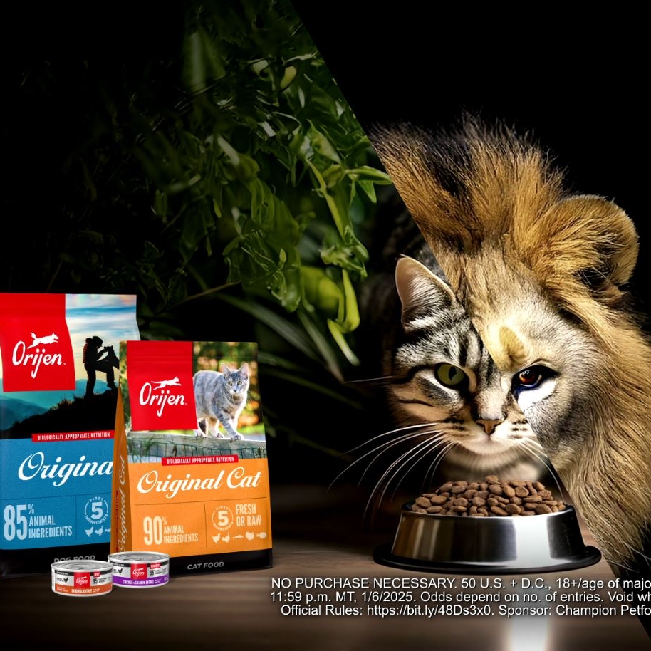 Orijen x Mufasa campaign photo