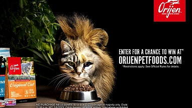 Orijen x Mufasa campaign photo